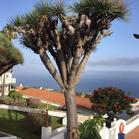 Apartment New And Swimming Pool *